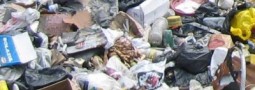Garbage Collection FAQ